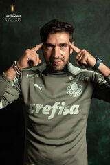 Abel Ferreira