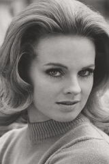 Angel Tompkins