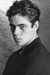 Benicio del Toro