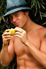 Bernardo Barreto