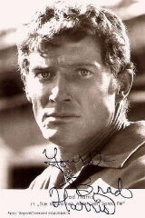Brad Harris