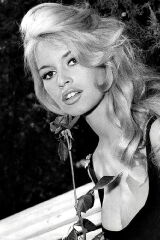 Brigitte Bardot