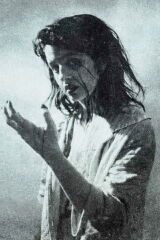 Casandra Stark