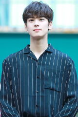 Cha Eun-woo