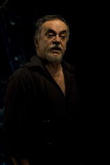 Cornel Ciupercescu