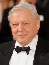 David Attenborough