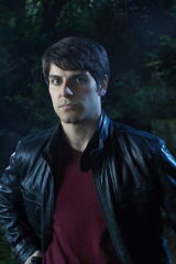 David Giuntoli