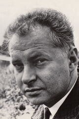 David Webb