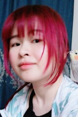 Deng Jiamei