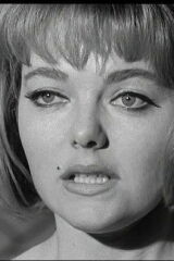 Diane Sayer