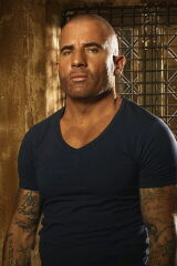 Dominic Purcell