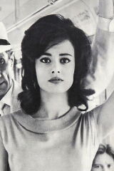 Donatella Turri