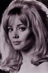Elaine Taylor