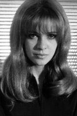 Elisabeth Wiener