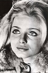 Ewa Aulin