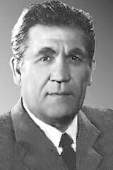 Fyodor Odinokov