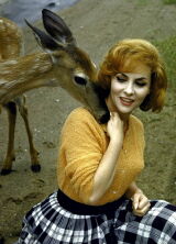 Gina Lollobrigida