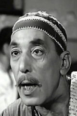 Hassan El Baroudy