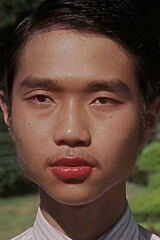 He Wenhui
