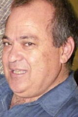 Hristos Valavanidis