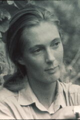 Jane Goodall