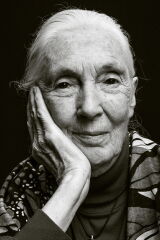 Jane Goodall