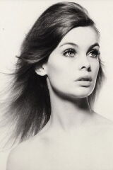 Jean Shrimpton