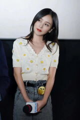Jeana Ho Pui-Yu
