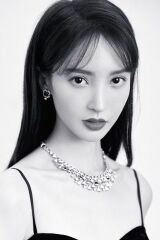 Jin Chen
