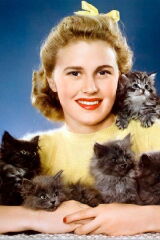 Joan Caulfield