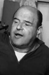 Josef Šebánek