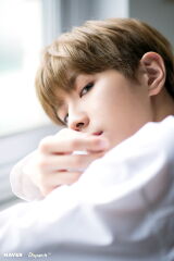 Kim Yong-hee