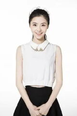 Li Zheng Yan Qi