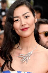 Liu Wen