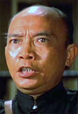 Lu Wei