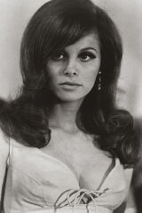 Lynn Loring