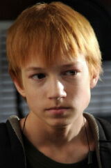 Maksim Shibayev