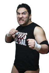 Pedro Aguayo Ramírez