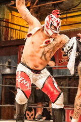 Rey Fénix