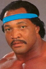 Ron Simmons