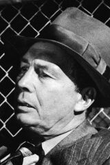 Roy Jenson