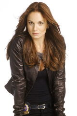 Sarah Wayne Callies