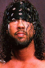 Sean Waltman