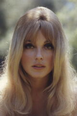 Sharon Tate