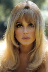 Sharon Tate