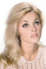 Sharon Tate