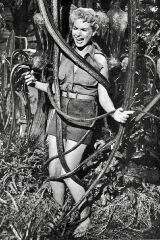 Shirley Patterson
