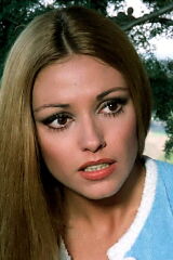 Silvia Tortosa
