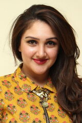 Sridevi Vijayakumar