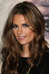 Stana Katic